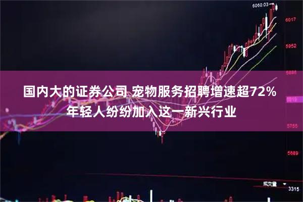 国内大的证券公司 宠物服务招聘增速超72% 年轻人纷纷加入这一新兴行业