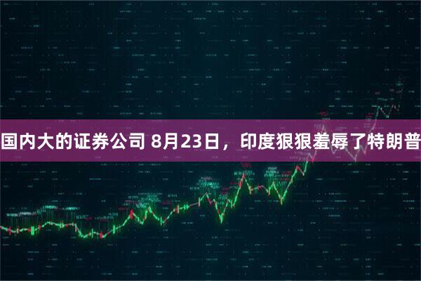 国内大的证券公司 8月23日，印度狠狠羞辱了特朗普
