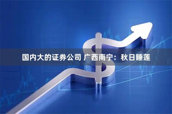 国内大的证券公司 广西南宁：秋日睡莲