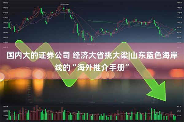国内大的证券公司 经济大省挑大梁|山东蓝色海岸线的“海外推介手册”