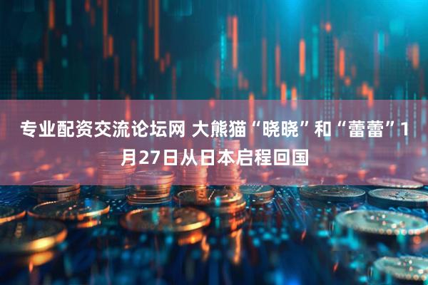 专业配资交流论坛网 大熊猫“晓晓”和“蕾蕾”1月27日从日本启程回国